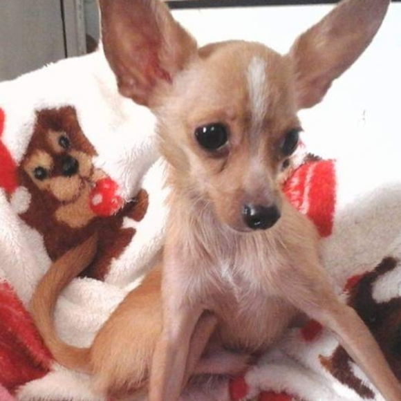 Trusted Seller !!! - Picture 7 of 8